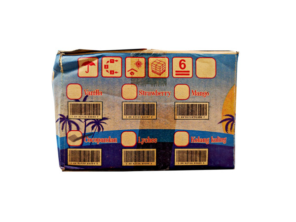 INACO Nata de Coco- CocoPandan Flavor, 24 pouches/case, 12.69oz(360g) - Image 6