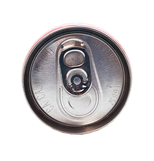 D'NATURAL- Watermelon Juice (12 cans x 10.8 oz) - Image 2